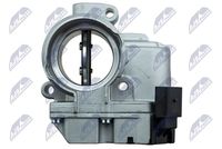 NTY ETB-VW-032 - Cuerpo de mariposa