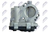 NTY ETB-VW-039 - Cuerpo de mariposa