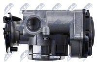 NTY ETB-VW-041 - Cuerpo de mariposa