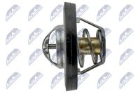 NTY CTM-CH-032 - Termostato, refrigerante