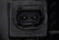 NTY CTM-BM-072 - Termostato, refrigerante