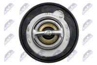 NTY CTM-HD-001 - Termostato, refrigerante