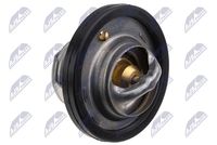 NTY CTMTY011 - Termostato, refrigerante