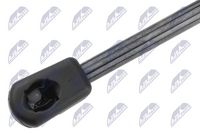 NTY AE-CH-075 - Muelle neumático, capó de motor