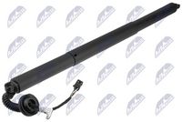 NTY AEVV049 - Motor eléctrico, portón trasero