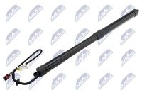 NTY AEVV038 - Motor eléctrico, portón trasero