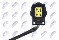 NTY ESL-CH-031 - Sonda Lambda