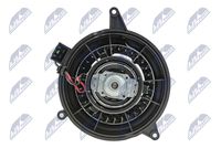 NTY EWN-FR-002 - Ventilador habitáculo