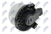 NTY EWN-TY-000 - Ventilador habitáculo