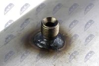 NTY DPF-PE-010 - Filtro hollín/partículas, sistema escape