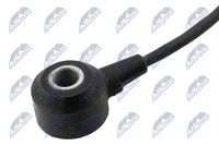 NTY ESS-BM-000 - Sensor de detonaciones