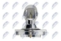 NTY EPO-ME-000 - Sensor, nivel de aceite del motor