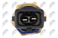 NTY EPO-RE-005 - Sensor, nivel de aceite del motor