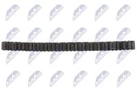 NTY EAT-CH-005 - Cadena de transmisión, engranaje distribuidor