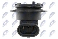 NTY EZ-PL-001 - Portalámparas, faro principal