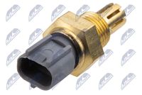 NTY ECT-TY-005 - Sensor, temperatura del aire de admisión