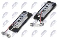 NTY ELP-BM-002 - Piloto de matrícula