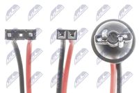 NTY ELP-BM-007 - Piloto de matrícula