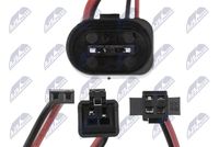 NTY ELP-VW-039 - Piloto de matrícula