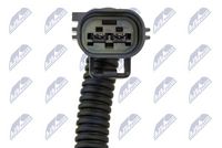 NTY BWP-FR-009 - Unidad inyectora, regeneración filtro de partículas