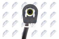 NTY BWP-FR-005 - Unidad inyectora, regeneración filtro de partículas