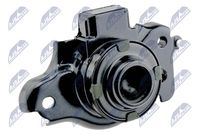 NTY ZPS-HD-125 - Soporte elástico, suspensión del motor