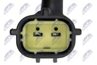 NTY EWC-HY-502 - Interruptor, piloto de marcha atrás