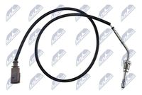 NTY EGTAU001 - Sensor, temp. gas escape