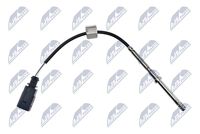 NTY EGTAU003 - Sensor, temp. gas escape
