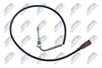 NTY EGTAU004 - Sensor, temp. gas escape