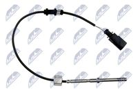 NTY EGTAU005 - Sensor, temp. gas escape