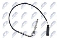 NTY EGTAU009 - Sensor, temp. gas escape