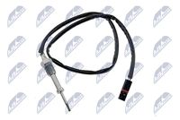 NTY EGTBM000 - Sensor, temp. gas escape