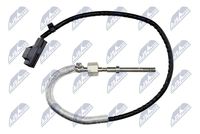 NTY EGTCH009 - Sensor, temp. gas escape