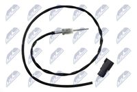 NTY EGTFR002 - Sensor, temp. gas escape