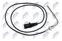 NTY EGTFT005 - Sensor, temp. gas escape