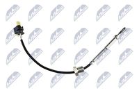NTY EGTME005 - Sensor, temp. gas escape