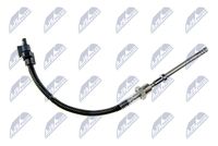 NTY EGTME011 - Sensor, temp. gas escape