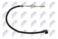 NTY EGTME018 - Sensor, temp. gas escape