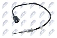 NTY EGTNS005 - Sensor, temp. gas escape
