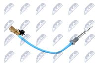 NTY EGTNS006 - Sensor, temp. gas escape