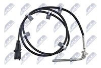NTY EGTPL008 - Sensor, temp. gas escape