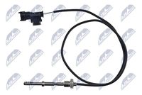 NTY EGTPL022 - Sensor, temp. gas escape