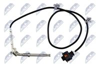 NTY EGTPL024 - Sensor, temp. gas escape