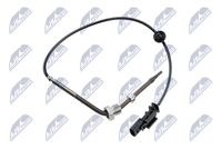 NTY EGTPL043 - Sensor, temp. gas escape