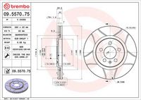 BREMBO 09.5570.75 - Disco de freno