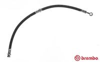 BREMBO T30054 - Tubo flexible de frenos - ESSENTIAL LINE