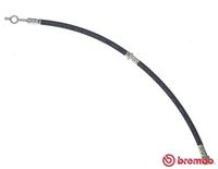 BREMBO T30076 - Tubo flexible de frenos - ESSENTIAL LINE