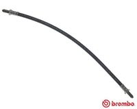 BREMBO T44007 - Tubo flexible de frenos - ESSENTIAL LINE