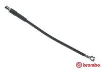 BREMBO T59035 - Tubo flexible de frenos - ESSENTIAL LINE